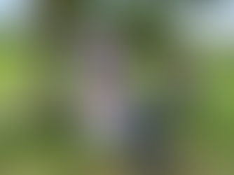 Golfturnier im Mergelhof für Wadadee cares