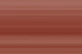 WJD_Header.png