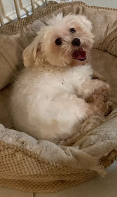 image0.jpeg