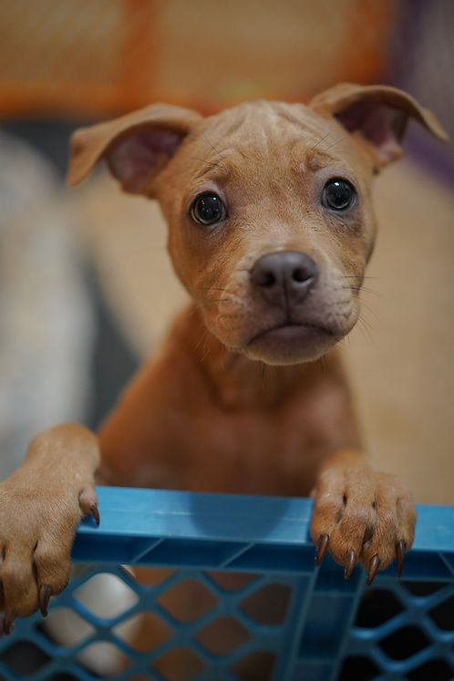 DSC04307[1].jpg