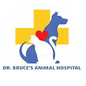 dr bruce.jpeg
