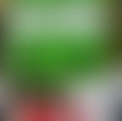 New Orleans Poetry Festival