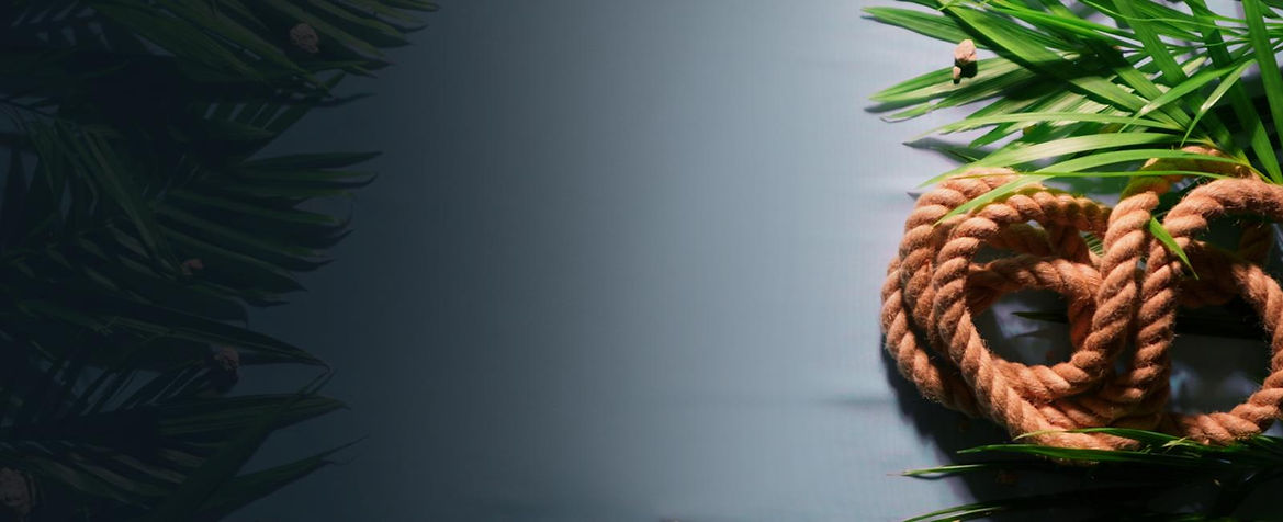 WhatsApp Image 2026-03-27 at 13.02.16.jpeg