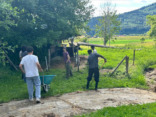 Sortie à la ferme.
