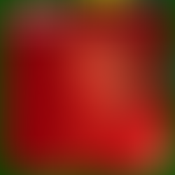 Episode 3: SELF ESTEEM