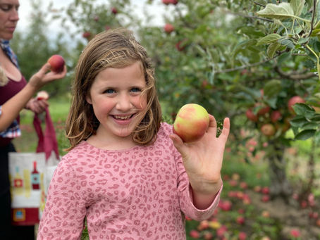Top 10 Fall Activities in Northeast Wisconsin | 2025 Guide