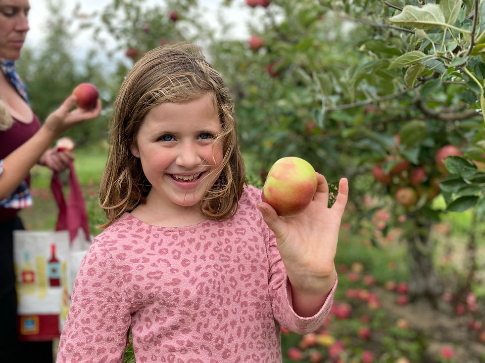 Apple Orchard Northeast Wisconsin Calumet County Wedding Venue Wedding Reception Wedding Ceremony Ballroom Dance Hall Line Dancing Fall Activities The Crystal Wisconsin