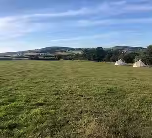 Oak Bell Tent.avif