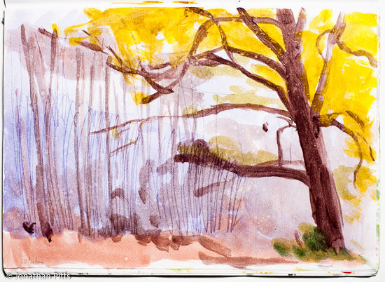 Jonathan Pitts Sketch of Windsor Great Park