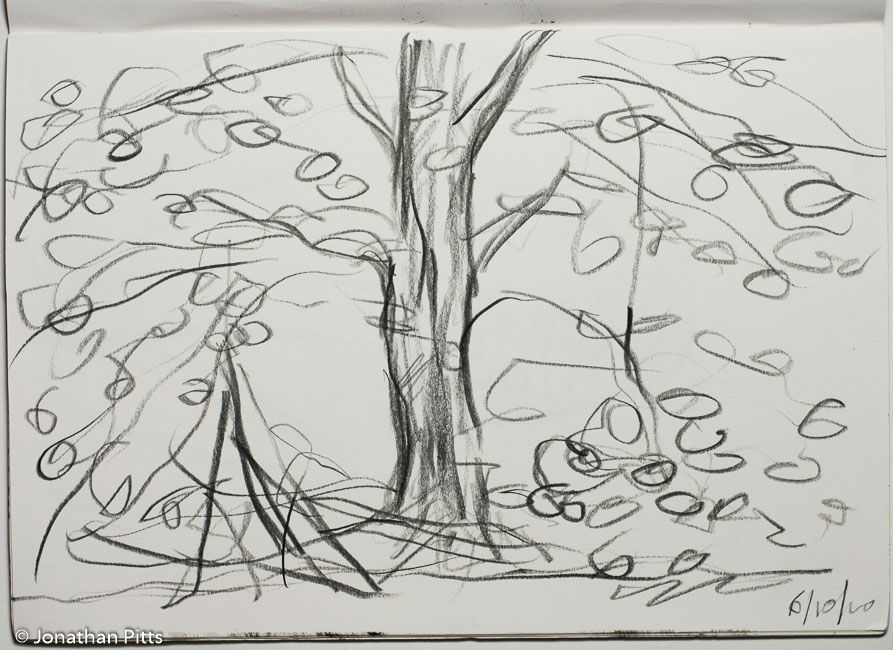 Jonathan Pitts Sketch of Windsor Great Park