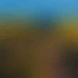 Through the Gorse I. Acrylic on canvas painting for sale with jonathanpitts.com by Jonathan Pitts artist via Cotswold Contemporary. These paintings are calm and relaxing, they are about feeling calm and looking out across the blue ocean to try to see the distant headlands. Although they are marine paintings, they are as much paintings of the sky as they are a paintings of the sea.
