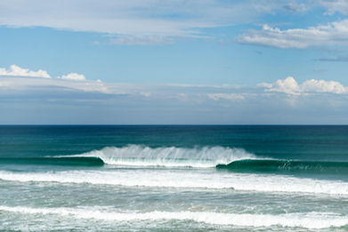 LocalBellarine-022 - Copy.jpg