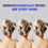 Miniature : Head & Shoulders , Anti Dandruff Shampoo, Silky Black,180ml Each (Pack of 2)