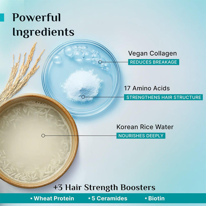 Thumbnail: Pilgrim Korean Rice Water & Collagen Advanced Damage Repair Shampoo, 200ml