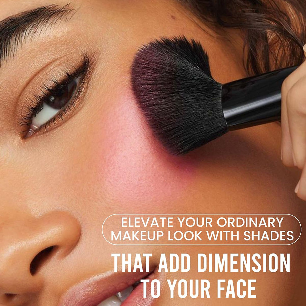 Thumbnail: Insight 5 Shades of Shine Brick Blushe,12gm