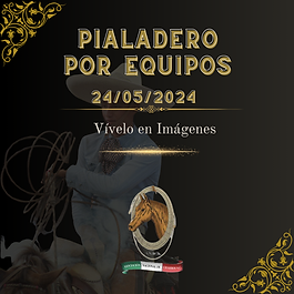 PIALADERO POR EQUIPOS.png