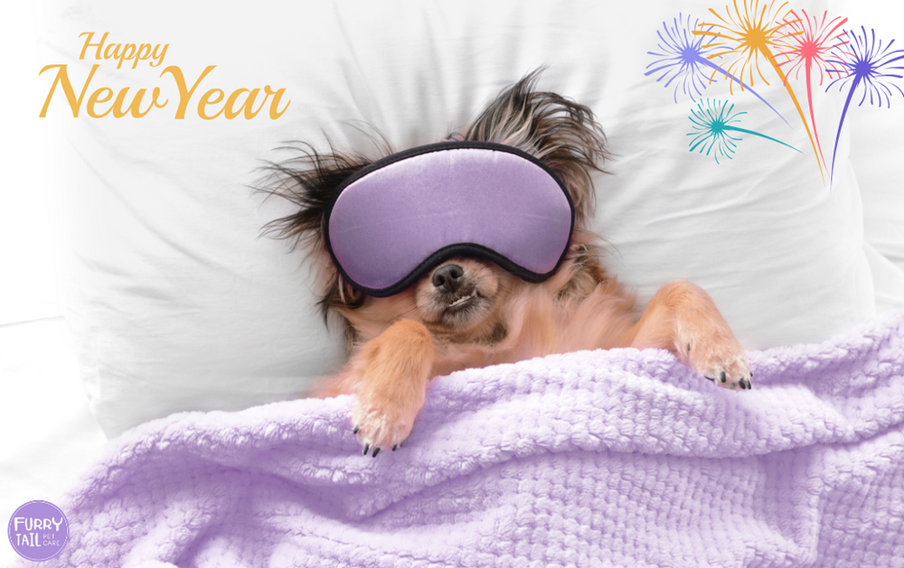Dog lying in bed under blankets, sleeping with eyes covered, with text saying 'Happy New Year' and fireworks illustration, showing a calm response during fireworks season.