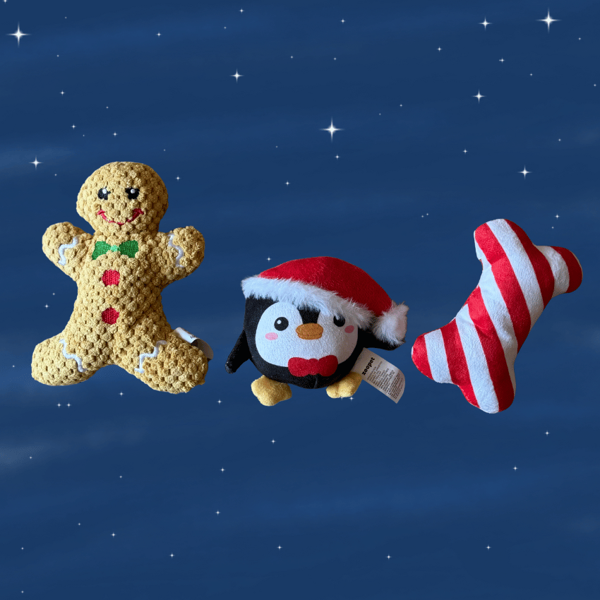 Miniatura: Gingerbread, Pingüino y Hueso