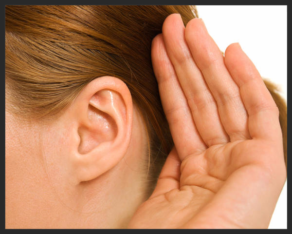 Head-ear_edited.jpeg