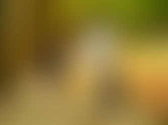 Genitori passeggiano con il proprio figlio