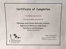 Agression, Ethology and Solutions Cert..jpg