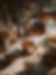 Mother Earth Stock Image-94.jpg