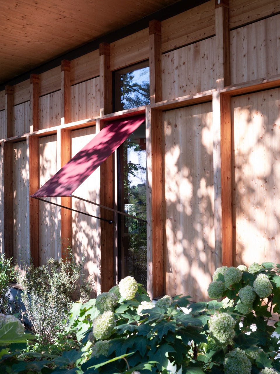 Z004_martinostelzer_camilladecamilli - dimensioni grandi.jpeg