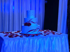 Wedding Cake Blue IMG_1640.jpg