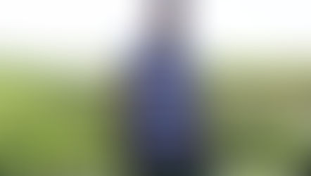 An Agricultural Revolution: More Efficient Photosynthesis