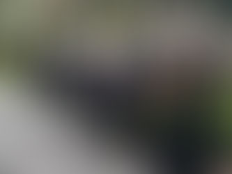 Police Reform Passed by the NYC Council