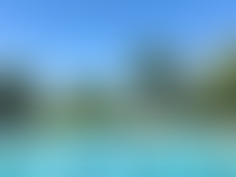 Ann Arbor Outdoor Pools Open: Here's What to Know