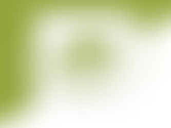 ภาพรวมหลักสูตร