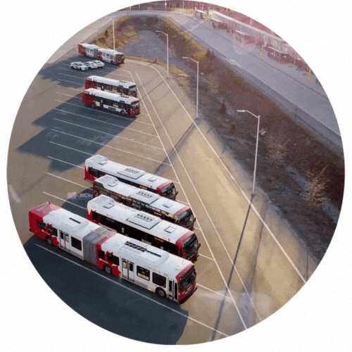 test (3).gif