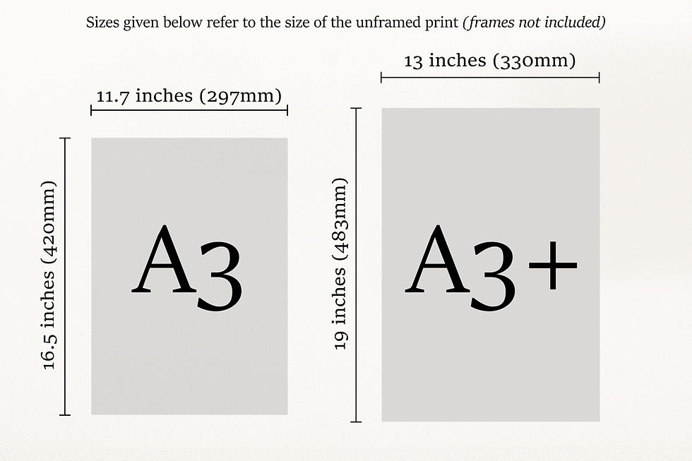 Thumbnail: Vintage Solar Biology Astrology High Quality Wall Art Print