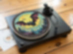 Vibrant Occult Vampire Bat Felt Record Player Turntable Slipmat