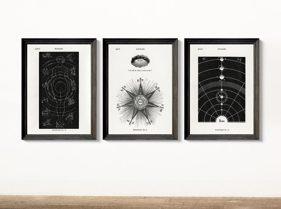 Thumbnail: Vintage Solar Biology Astrology High Quality Wall Art Print