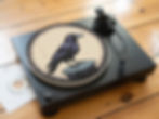 Occult Crow Graphic Black Bird Metal Felt Record Player Turntable Slipmat