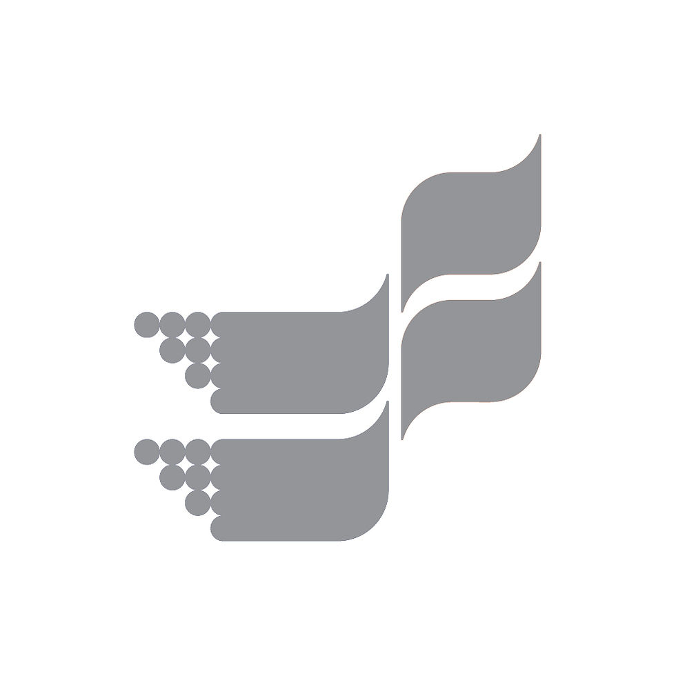 2006 :: combustol metalpó