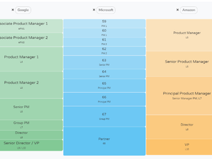 Charting the product manager's career path in 2024
