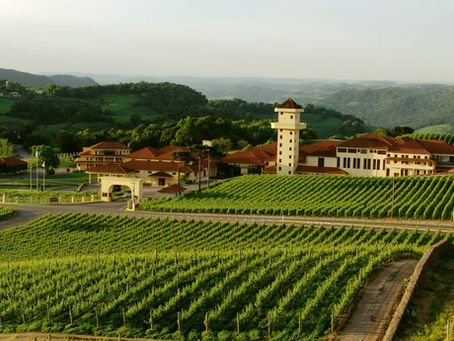 Vale dos Vinhedos: A Europa do Vinho sem Sair do Brasil