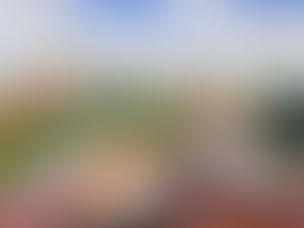 Pelos Caminhos do Vinho: Roteiros Exclusivos nas Melhores Regiões Vinícolas da Europa