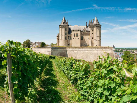 Bordeaux e Vale do Loire: Descubra os Vinhos, Castelos e Encantos da França