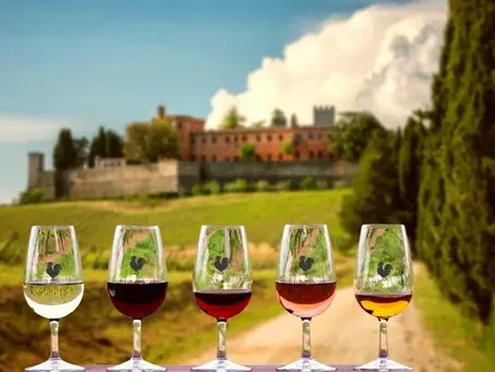 O Que é Enoturismo e Por Que Ele Está em Alta no Mundo Todo?