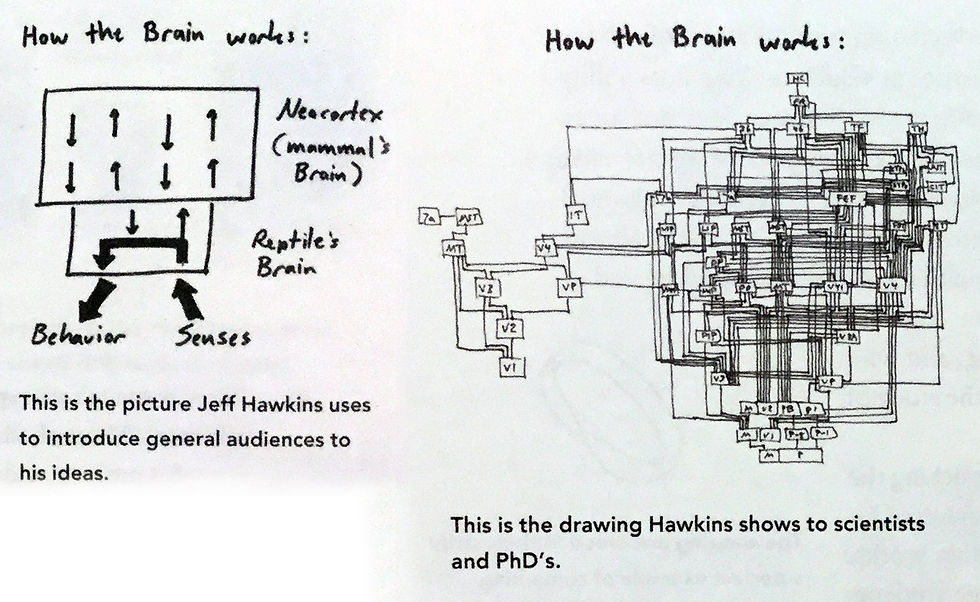 Brain Diagrams Jeff Hawkins. Left = simplistic, Right = complex.