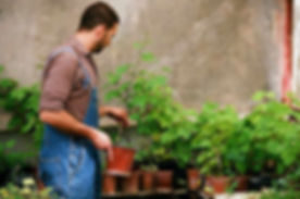 Plant Selection