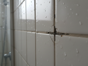 Fixing Leaking Shower Grout Made Simple: Shower Grout Repair Tips