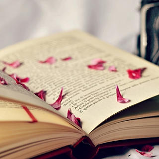 Zdjęcie autora: Niewyedukowana 