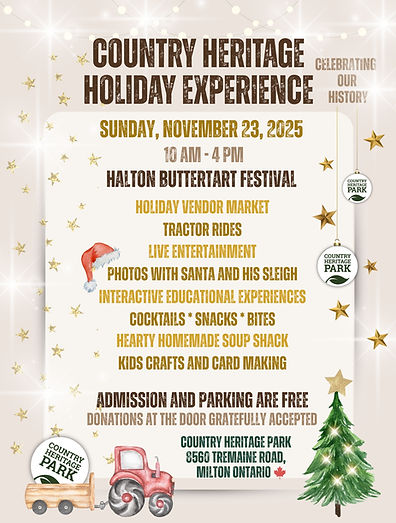 a magical holiday experience.jpg