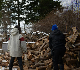 DLD_2044.JPG
