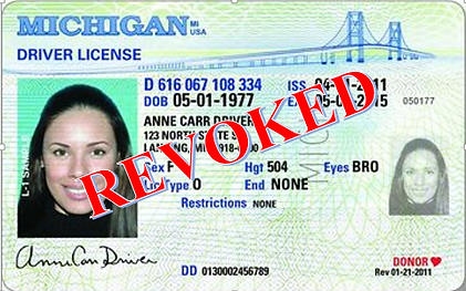 Timothy A Slais PLLC- license restoration
